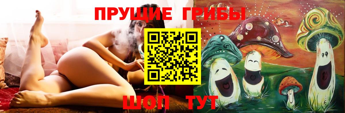 Псилоцибиновые грибы Psilocybe Камень-на-Оби