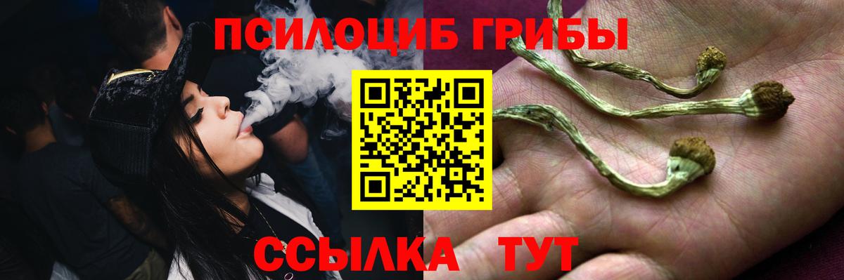 продажа наркотиков  Галлюциногенные грибы Psilocybine cubensis  Вход с VPN  Галлюциногенные грибы ЛСД  Камень-на-Оби 